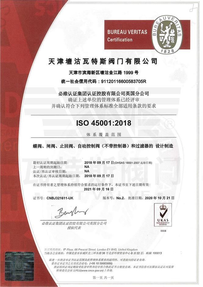 ISO-45001必维认证中文