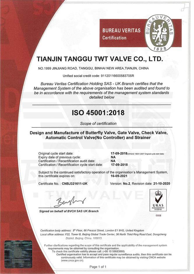 ISO-45001必维认证英文
